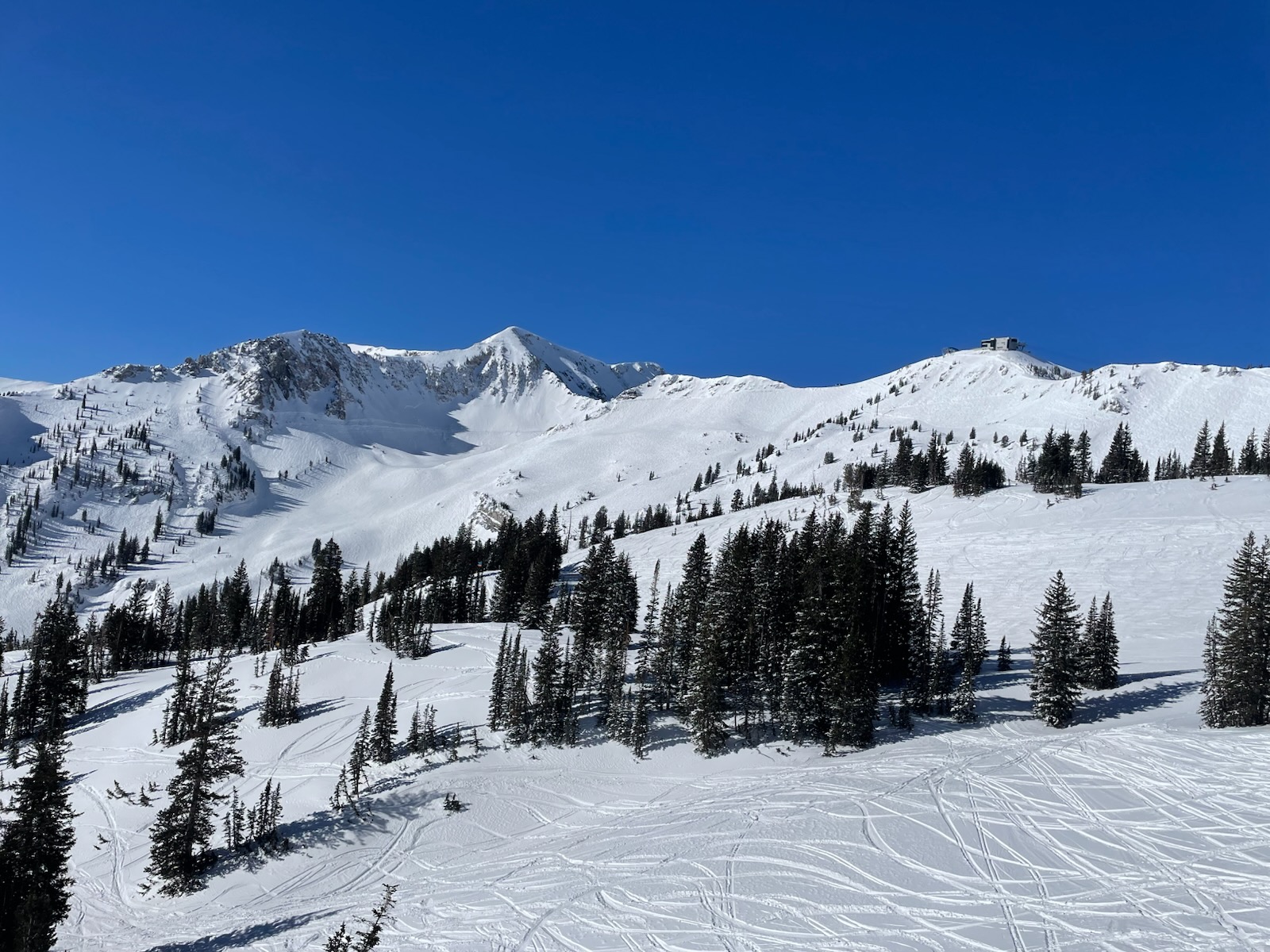 Snowbird Resort Photo of Mineral Basin with some tracks on untouched powder